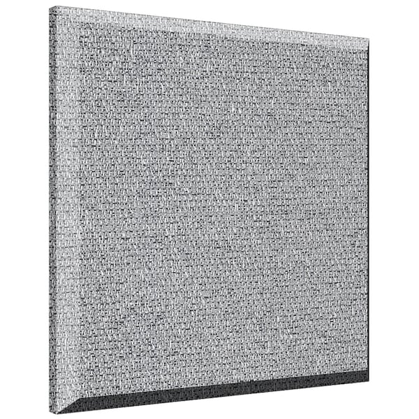 ProPanel B222PET
